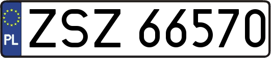 ZSZ66570