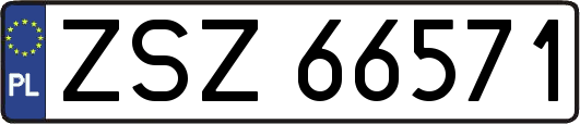 ZSZ66571