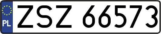 ZSZ66573