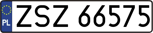 ZSZ66575
