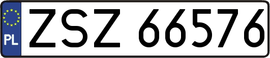 ZSZ66576