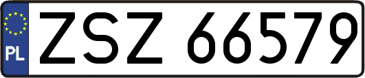 ZSZ66579