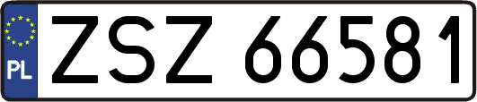 ZSZ66581