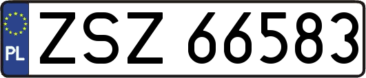 ZSZ66583