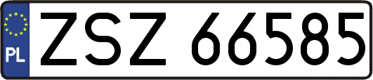 ZSZ66585