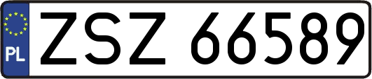 ZSZ66589