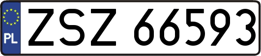 ZSZ66593