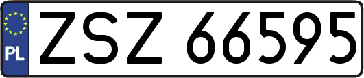 ZSZ66595