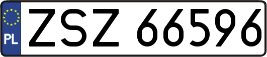 ZSZ66596