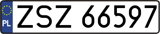 ZSZ66597