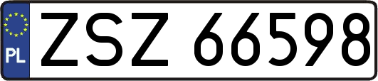 ZSZ66598