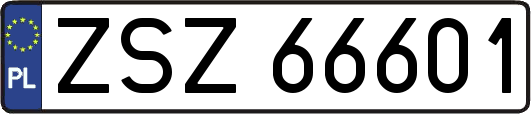ZSZ66601