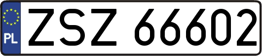 ZSZ66602