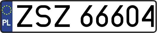 ZSZ66604