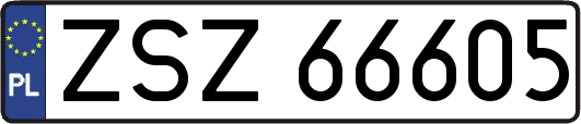 ZSZ66605