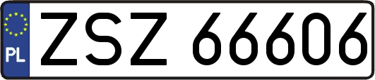 ZSZ66606