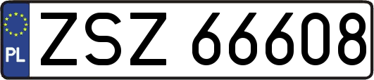 ZSZ66608