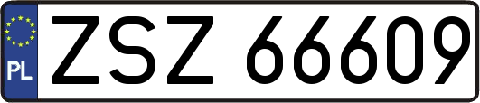 ZSZ66609