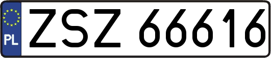 ZSZ66616