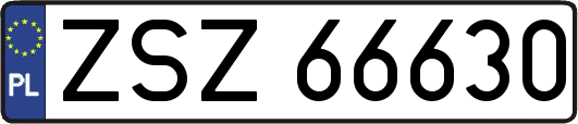 ZSZ66630