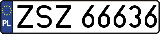ZSZ66636