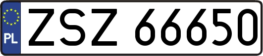 ZSZ66650