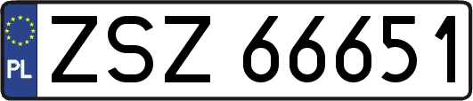 ZSZ66651