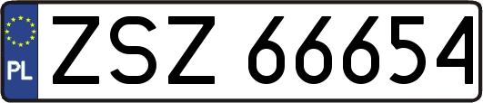 ZSZ66654