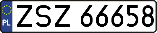 ZSZ66658