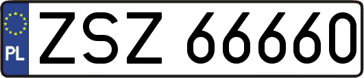 ZSZ66660