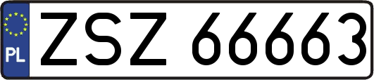 ZSZ66663