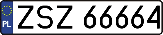 ZSZ66664