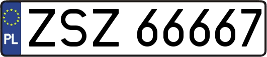 ZSZ66667