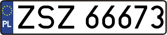 ZSZ66673