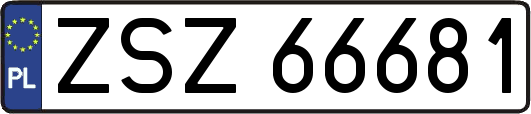 ZSZ66681