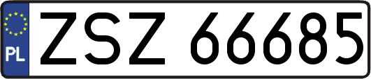 ZSZ66685