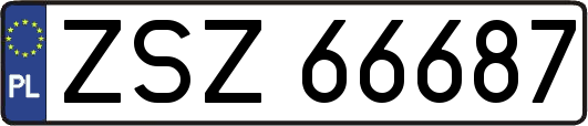ZSZ66687