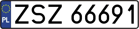 ZSZ66691