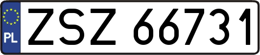 ZSZ66731
