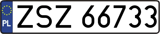 ZSZ66733