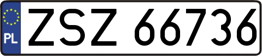 ZSZ66736