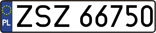 ZSZ66750