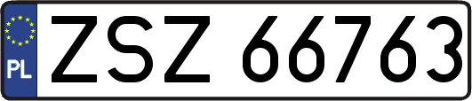 ZSZ66763