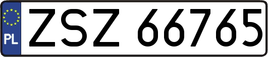 ZSZ66765