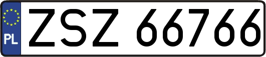 ZSZ66766