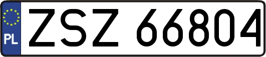 ZSZ66804