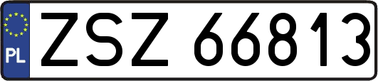 ZSZ66813