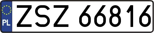 ZSZ66816