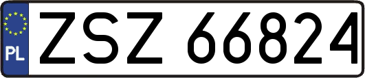 ZSZ66824
