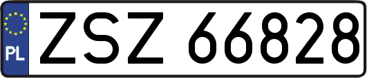 ZSZ66828